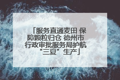 服务直通麦田 保障颗粒归仓 德州市行政审批服务局护航“三夏”生产