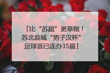 比“苏超”更草根！苏北县城“男子汉杯”足球赛已连办35届