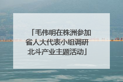 毛伟明在株洲参加省人大代表小组调研北斗产业主题活动