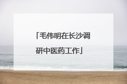 毛伟明在长沙调研中医药工作