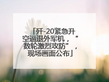 歼-20紧急升空逼退外军机，“数轮激烈攻防”，现场画面公布
