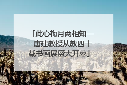 此心梅月两相知——唐建教授从教四十载书画展盛大开幕