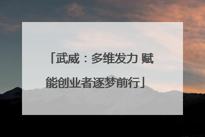 武威：多维发力 赋能创业者逐梦前行