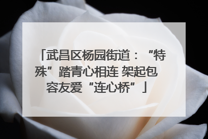 武昌区杨园街道：“特殊”踏青心相连 架起包容友爱“连心桥”