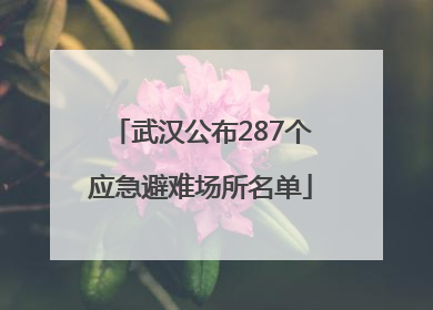 武汉公布287个应急避难场所名单