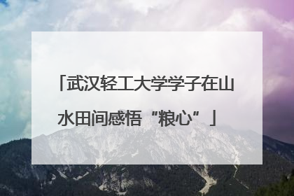 武汉轻工大学学子在山水田间感悟“粮心”