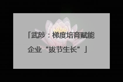 武陟：梯度培育赋能企业“拔节生长”