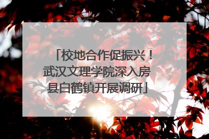 校地合作促振兴！武汉文理学院深入房县白鹤镇开展调研
