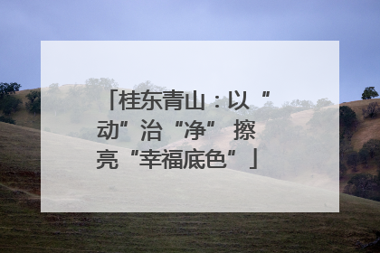 桂东青山：以“动”治“净” 擦亮“幸福底色”