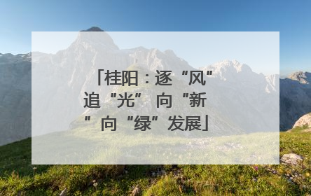 桂阳：逐“风”追“光” 向“新”向“绿”发展