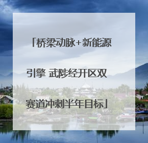 桥梁动脉+新能源引擎 武陟经开区双赛道冲刺半年目标