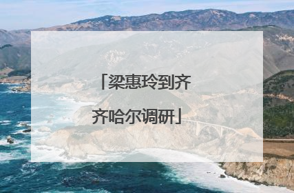 梁惠玲到齐齐哈尔调研