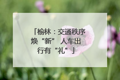榆林：交通秩序焕“新” 人车出行有“礼”