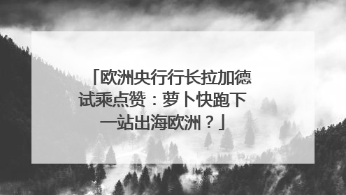 欧洲央行行长拉加德试乘点赞：萝卜快跑下一站出海欧洲？