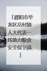濮阳市华龙区岳村镇人大代表一线助力粮食安全保卫战
