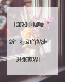 潇湘巾帼暖“新”行动首站走进张家界