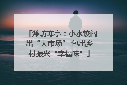 潍坊寒亭：小水饺闯出“大市场” 包出乡村振兴“幸福味”