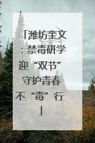 潍坊奎文：禁毒研学迎“双节” 守护青春不“毒”行
