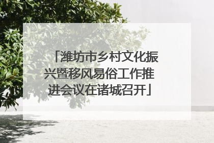 潍坊市乡村文化振兴暨移风易俗工作推进会议在诸城召开
