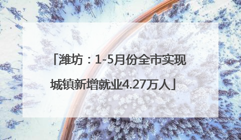 潍坊：1-5月份全市实现城镇新增就业4.27万人