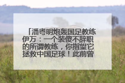 潘粤明炮轰国足教练伊万：一个装傻不辞职的所谓教练，你指望它拯救中国足球！此前曾多次发文评价国足