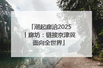潮起廊洽2025丨廊坊：链接京津冀 面向全世界