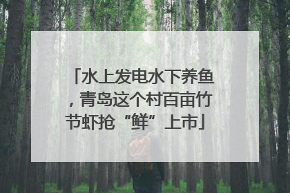 水上发电水下养鱼，青岛这个村百亩竹节虾抢“鲜”上市