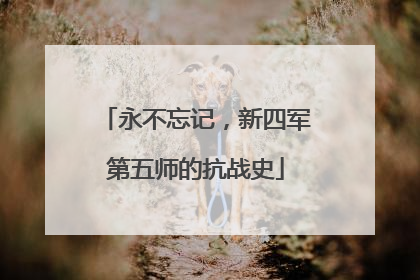 永不忘记，新四军第五师的抗战史