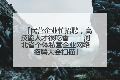 民营企业忙招聘，高技能人才很吃香——河北省个体私营企业网络招聘大会扫描