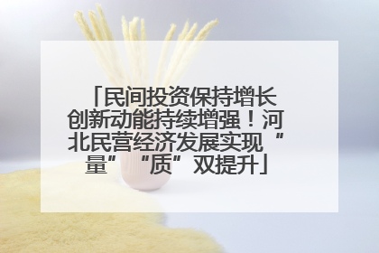 民间投资保持增长 创新动能持续增强！河北民营经济发展实现“量”“质”双提升