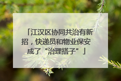 江汉区协同共治有新招，快递员和物业保安成了“治理搭子”