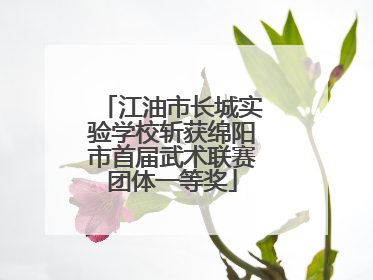江油市长城实验学校斩获绵阳市首届武术联赛团体一等奖