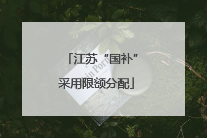江苏“国补”采用限额分配