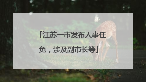 江苏一市发布人事任免，涉及副市长等