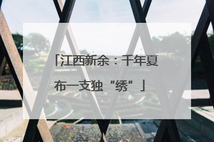 江西新余：千年夏布一支独“绣”