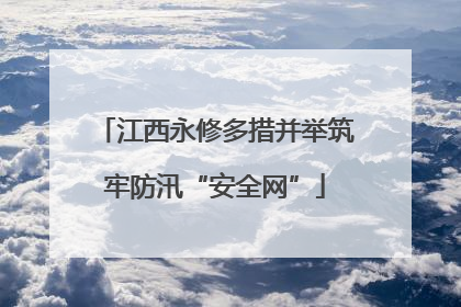 江西永修多措并举筑牢防汛“安全网”