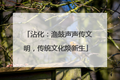 沾化：渔鼓声声传文明，传统文化焕新生