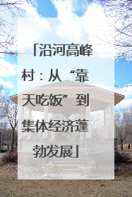 沿河高峰村：从“靠天吃饭”到集体经济蓬勃发展