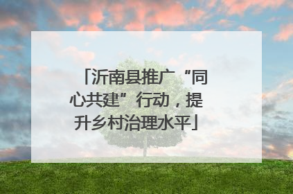 沂南县推广“同心共建”行动，提升乡村治理水平