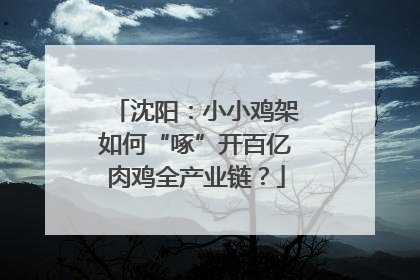 沈阳：小小鸡架如何“啄”开百亿肉鸡全产业链？