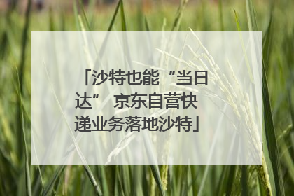 沙特也能“当日达” 京东自营快递业务落地沙特