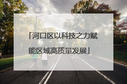 河口区以科技之力赋能区域高质量发展