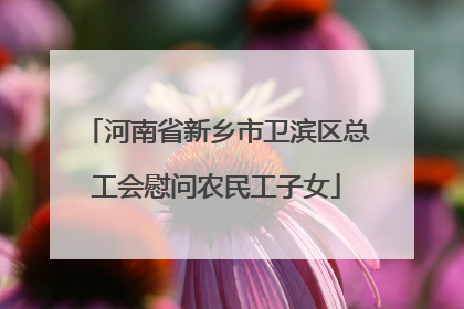 河南省新乡市卫滨区总工会慰问农民工子女