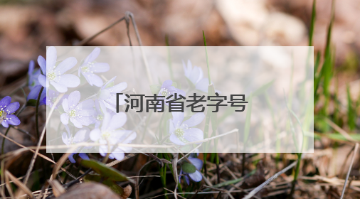 河南省老字号集聚街区开业，中原传统文化传承再添新地标