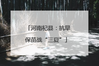 河南杞县：抗旱保苗战“三夏”