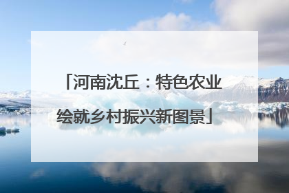 河南沈丘：特色农业绘就乡村振兴新图景