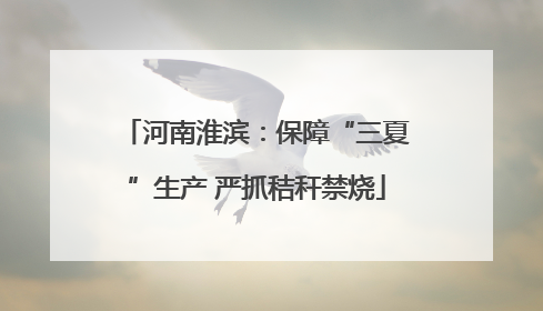 河南淮滨：保障“三夏”生产 严抓秸秆禁烧