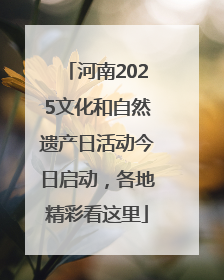 河南2025文化和自然遗产日活动今日启动，各地精彩看这里