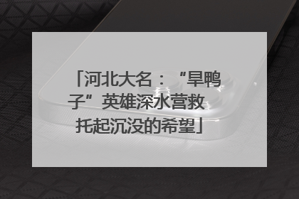 河北大名：“旱鸭子”英雄深水营救 托起沉没的希望