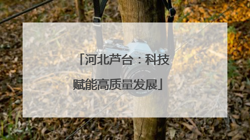 河北芦台：科技赋能高质量发展